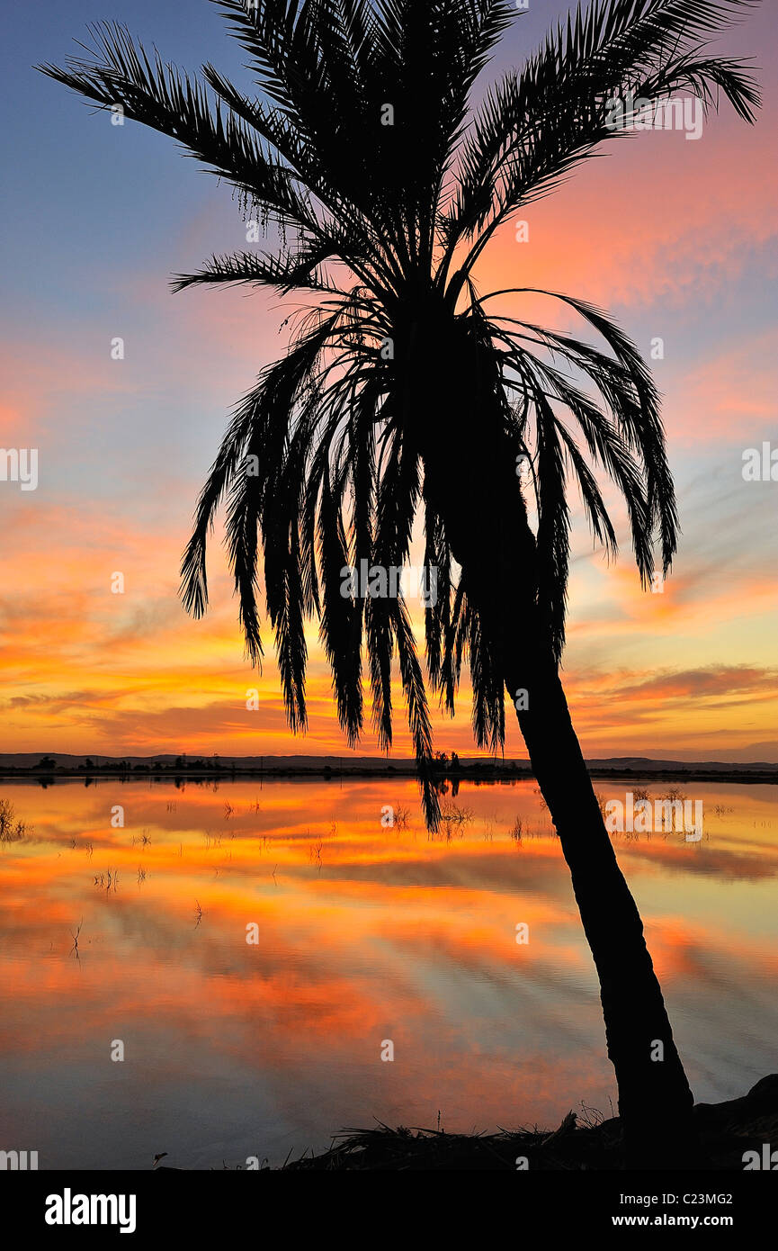 Coucher de soleil sur un lac salé à Fatnas Island près de la ville de Siwa, désert de l'ouest, l'Egypte Banque D'Images