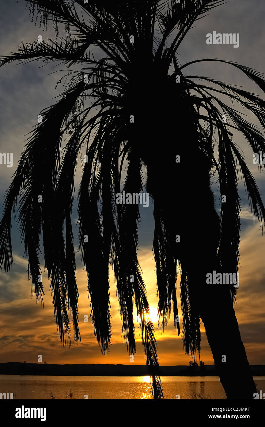 Coucher de soleil sur un lac salé à Fatnas Island près de la ville de Siwa, désert de l'ouest, l'Egypte Banque D'Images