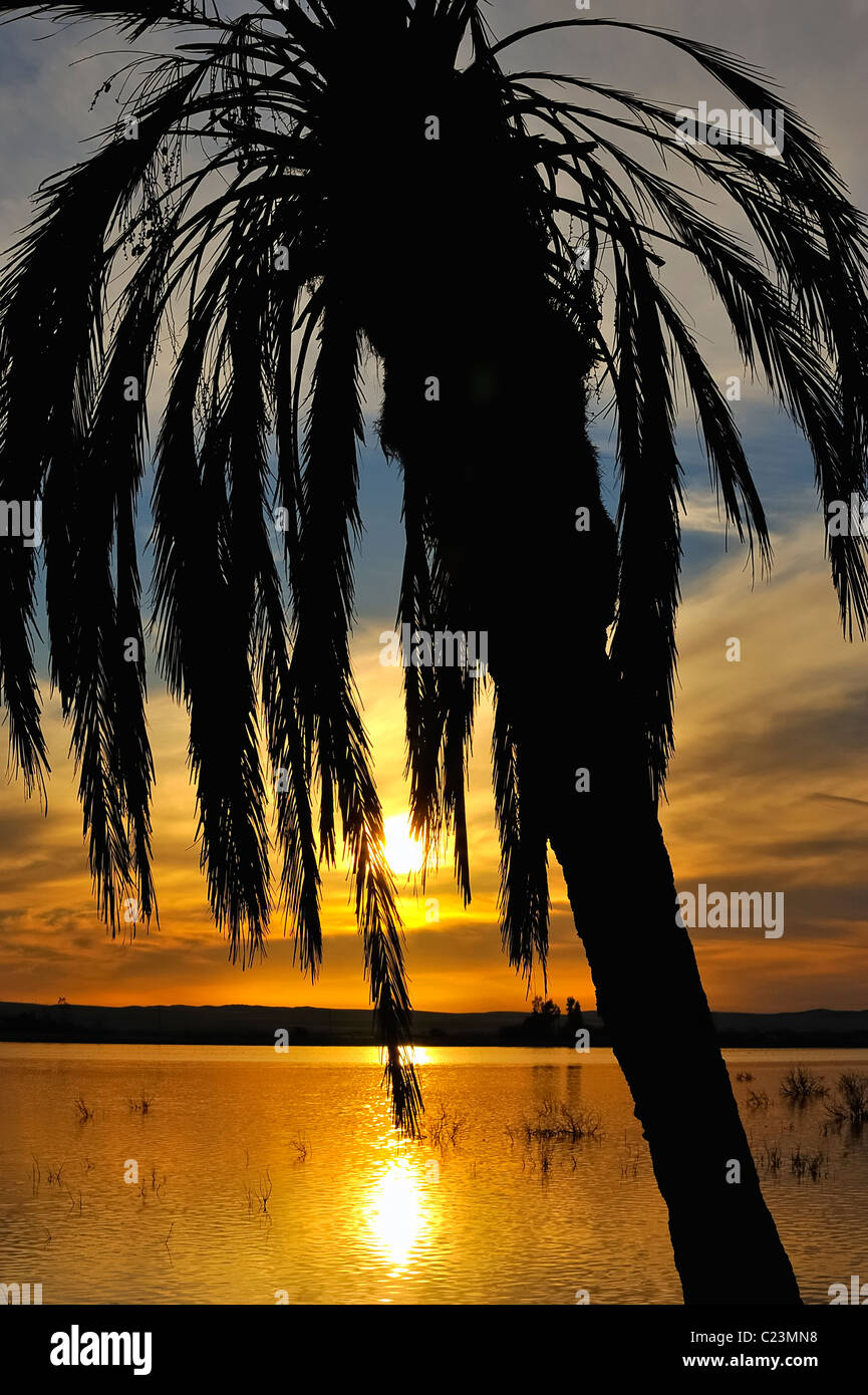Coucher de soleil sur un lac salé à Fatnas Island près de la ville de Siwa, désert de l'ouest, l'Egypte Banque D'Images