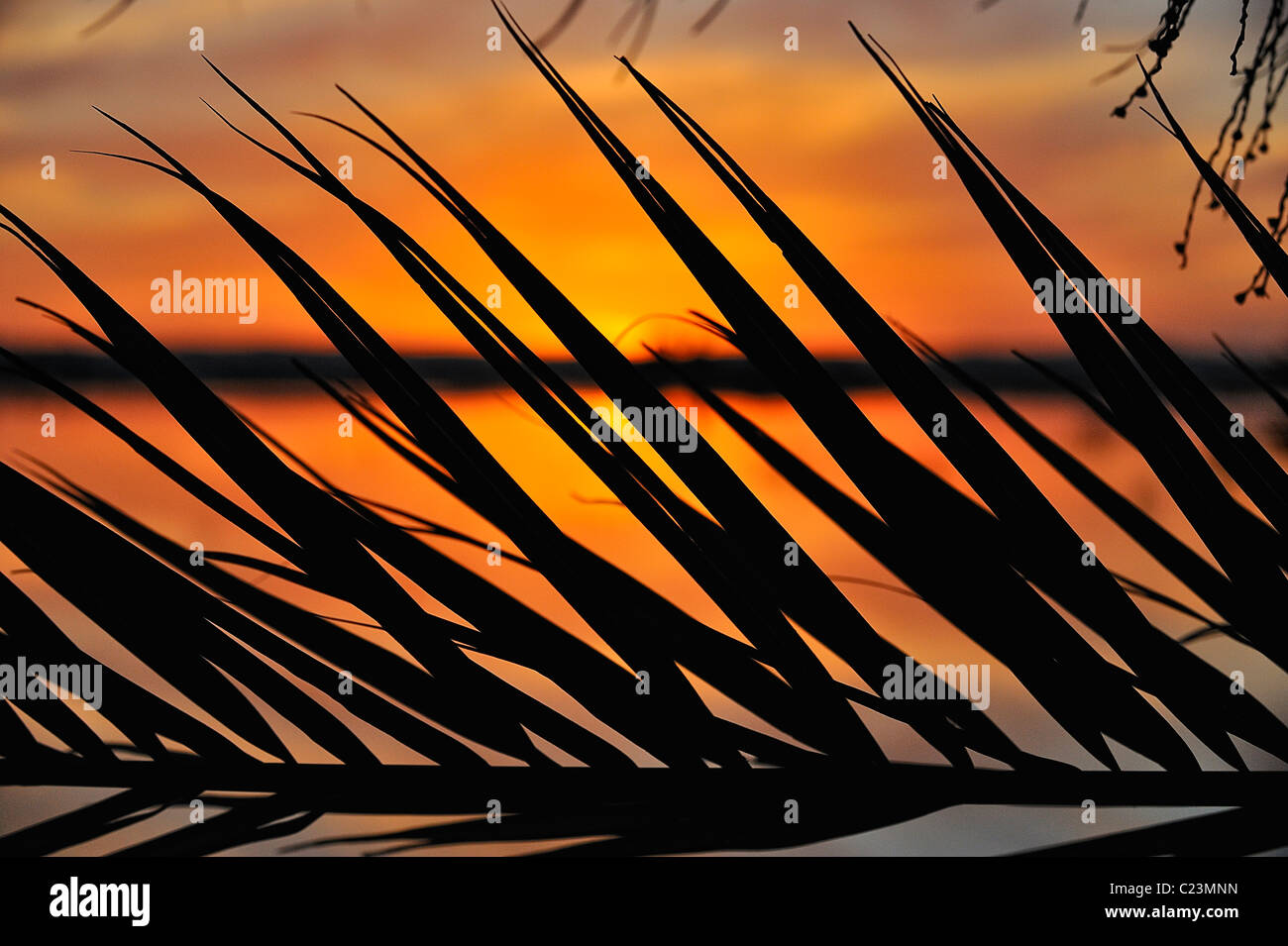 Coucher de soleil sur un lac salé à Fatnas Island près de la ville de Siwa, désert de l'ouest, l'Egypte Banque D'Images