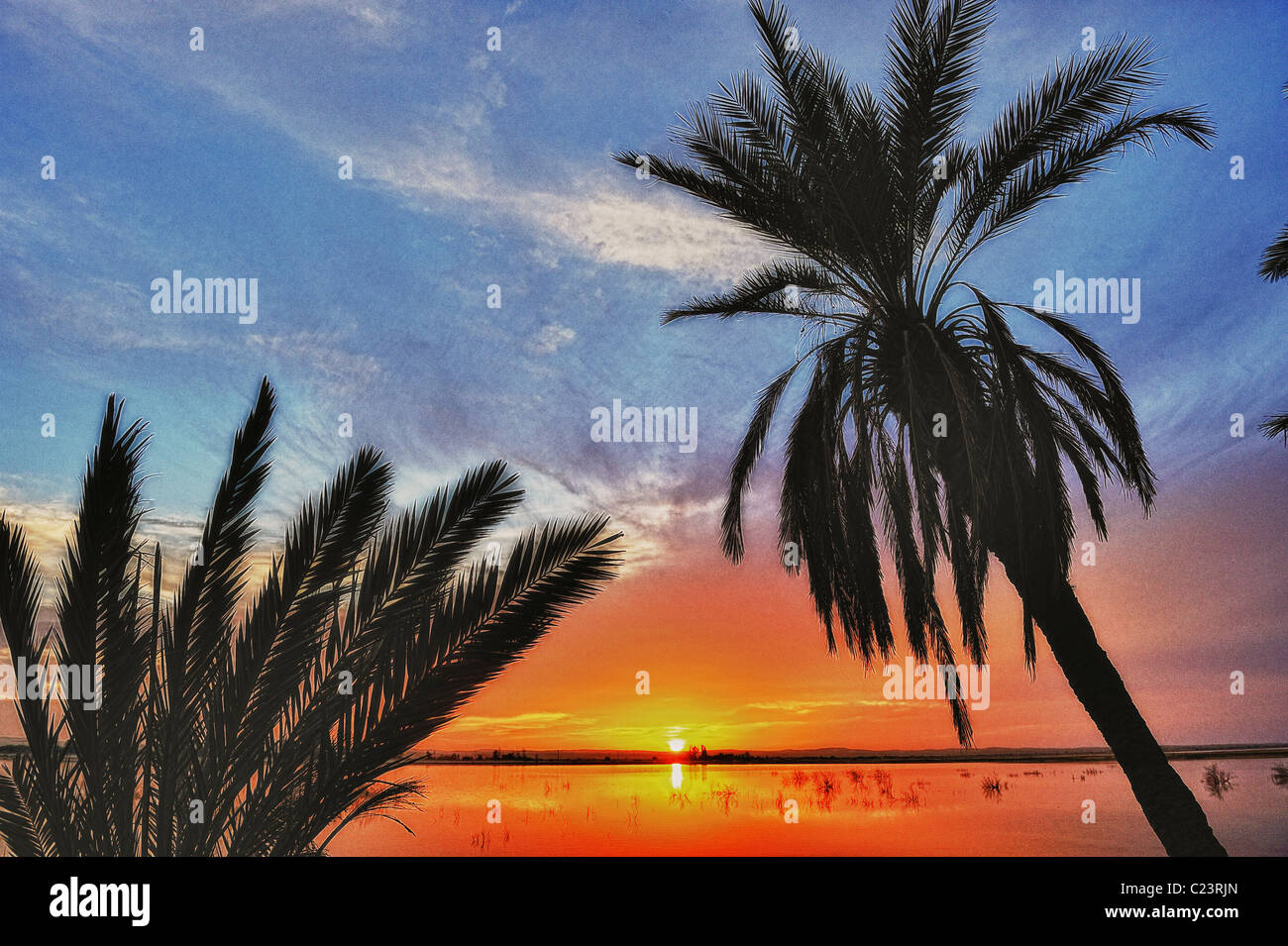 Coucher de soleil sur un lac salé à Fatnas Island près de la ville de Siwa, désert de l'ouest, l'Egypte Banque D'Images