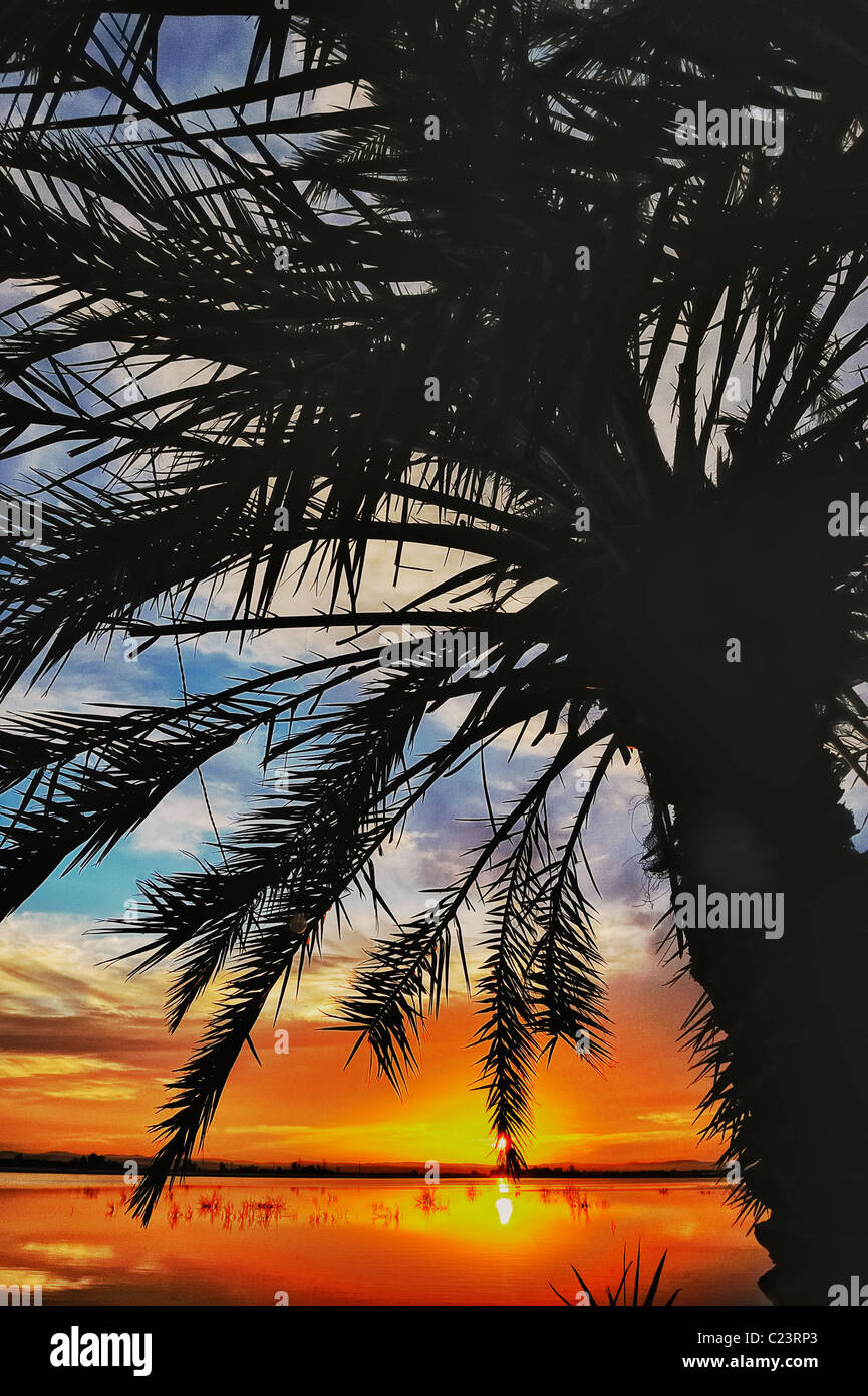 Coucher de soleil sur un lac salé à Fatnas Island près de la ville de Siwa, désert de l'ouest, l'Egypte Banque D'Images