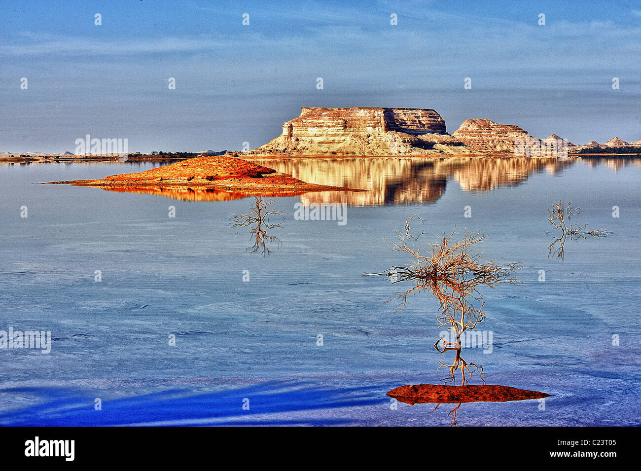 Salt Lake dans l'oasis de Siwa, désert occidental, l'Égypte Banque D'Images