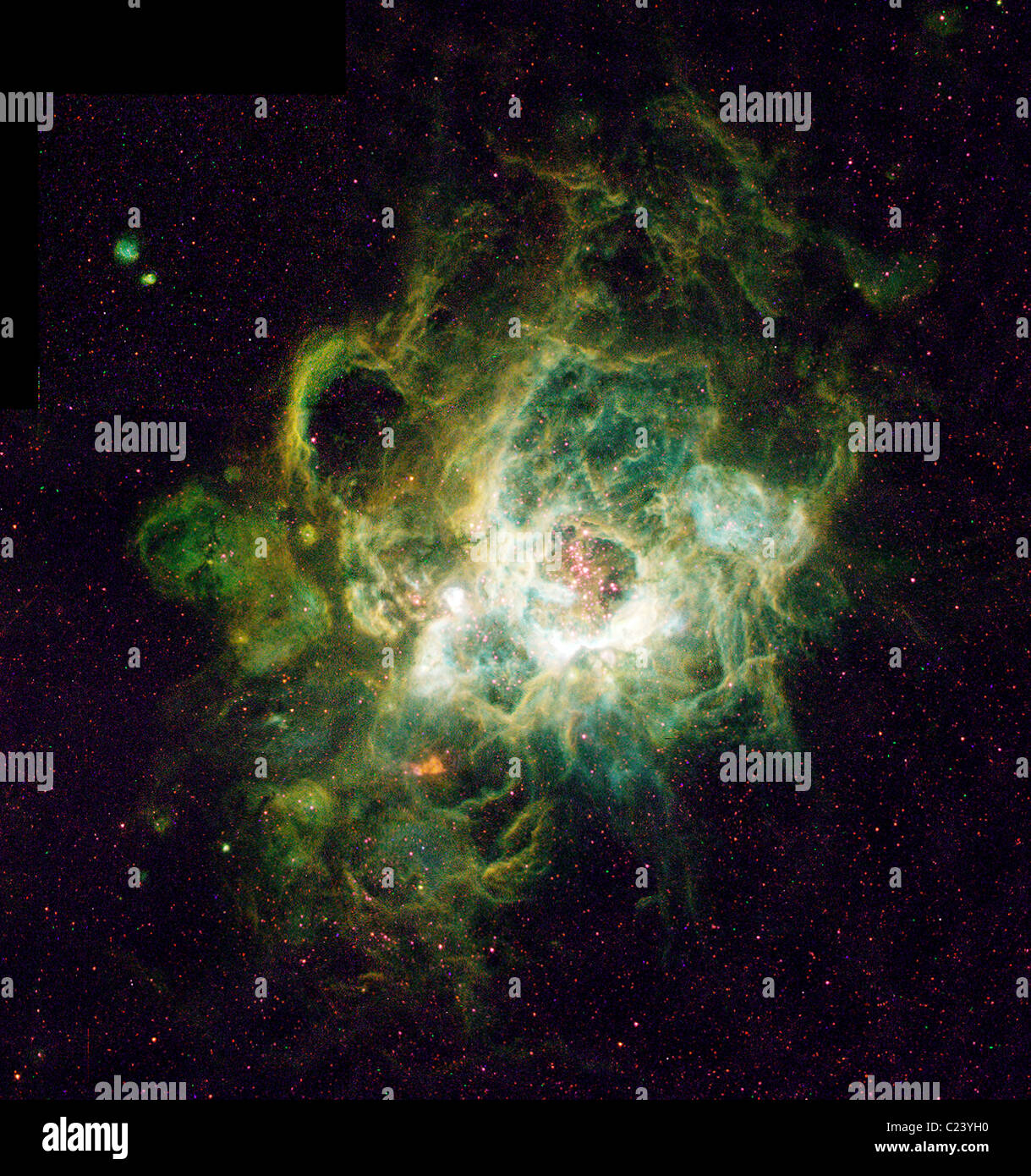 Pépinière De nouvelles stars c'est un télescope spatial Hubble de droit (droit) d'un vaste appelé nébuleuse NGC 604 Banque D'Images
