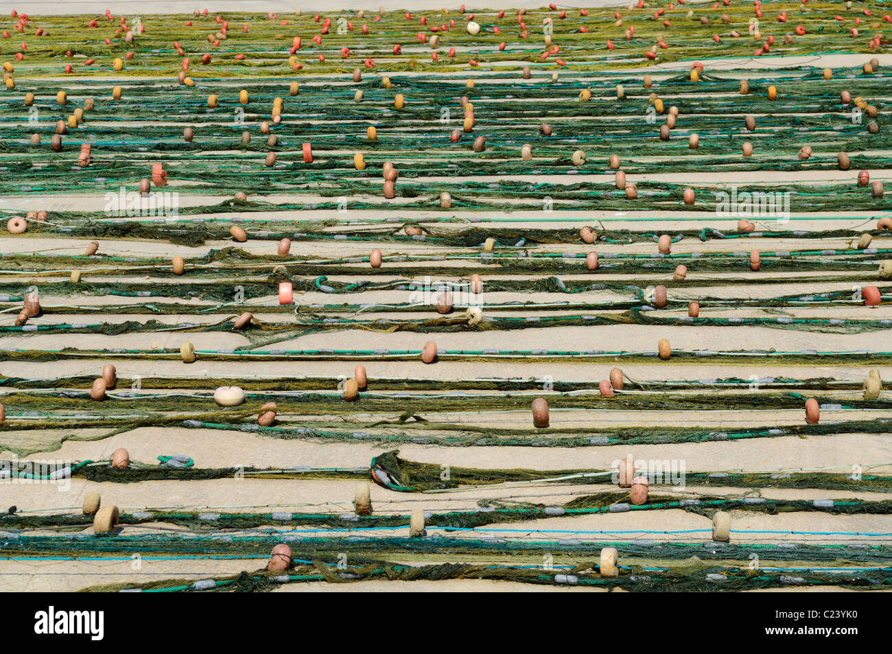 Les filets de pêche alignés sur le quai en Méditerranée port de San Pedro del Pinatar, Murcia, Espagne. Banque D'Images
