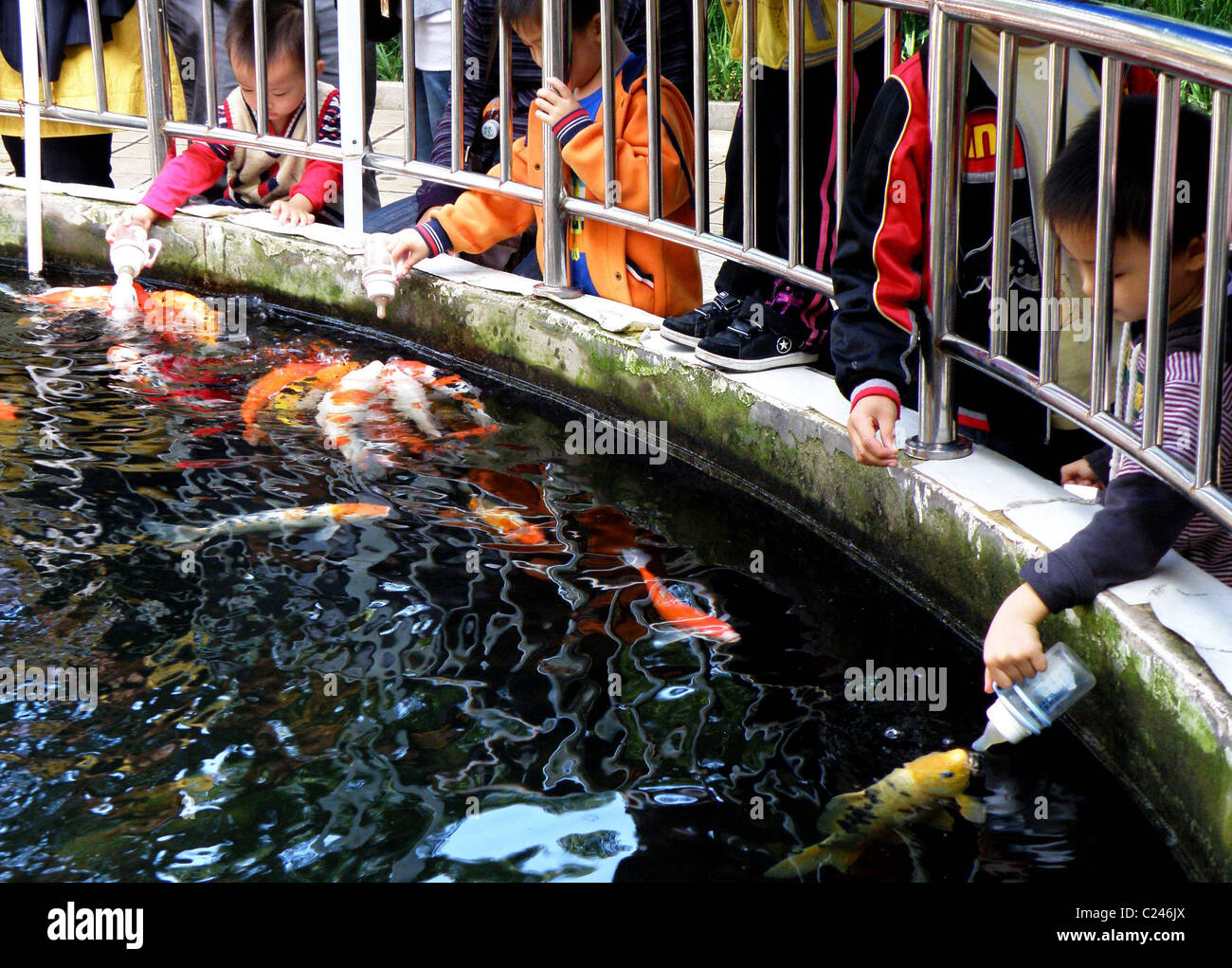 Les enfants se nourrissent des poissons colorés dans un zoo dans le Hubei, Chine. (IG/WN) ** ** Banque D'Images