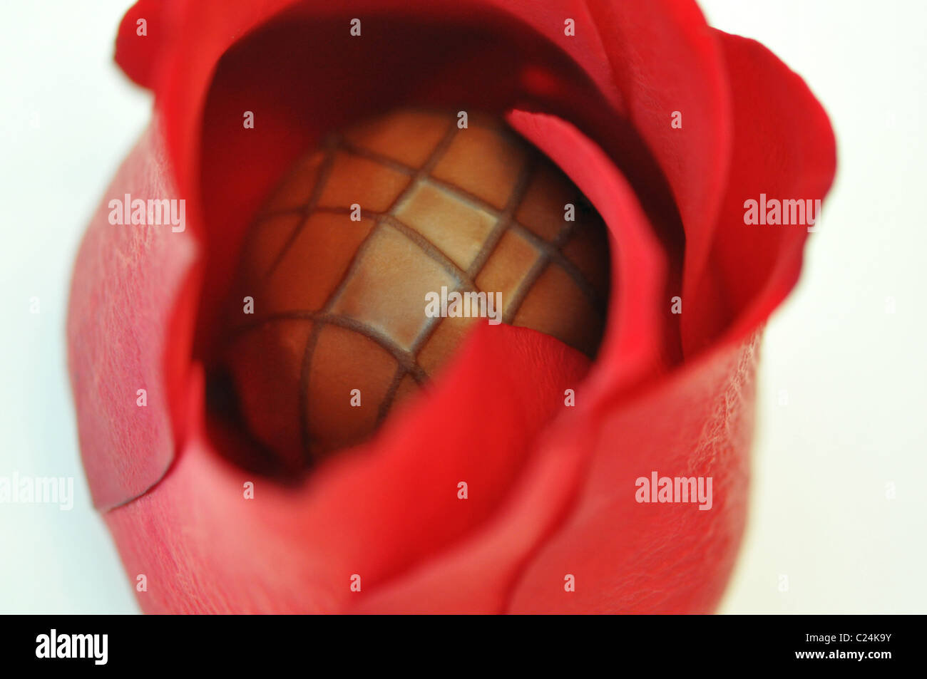 Macro d'une truffe au chocolat à l'intérieur d'un bouton de rose rouge Banque D'Images