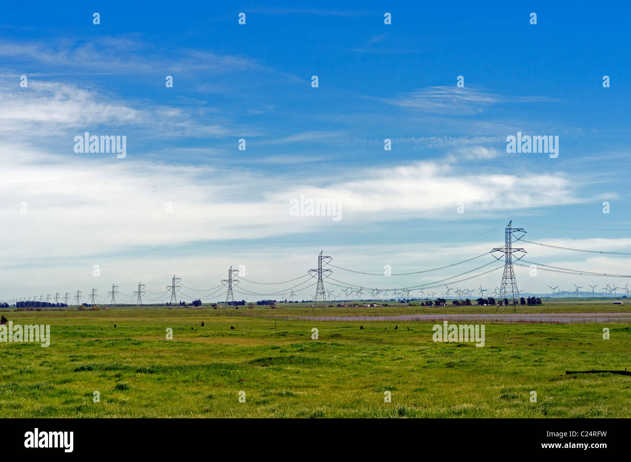 Une belle journée de Jepson Prairie Reserve, dans le Nord de la Californie. Banque D'Images