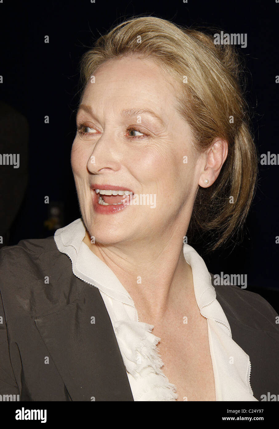 Meryl Streep cocktail célébrant Kevin Kline et Meryl Streep en vedette dans 'Shakespeare's l'Amant et le poète' un Banque D'Images
