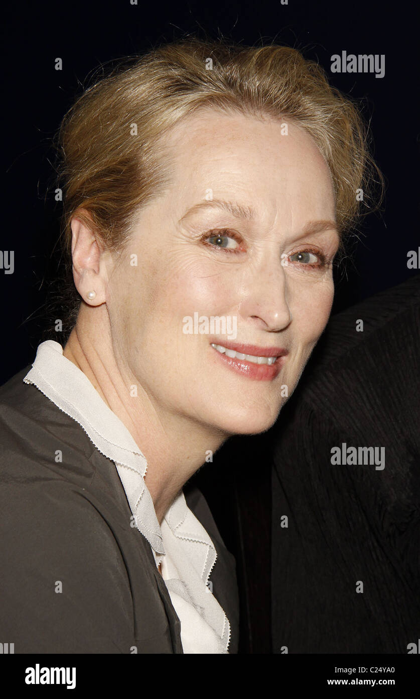 Meryl Streep cocktail célébrant Kevin Kline et Meryl Streep en vedette dans 'Shakespeare's l'Amant et le poète' un Banque D'Images