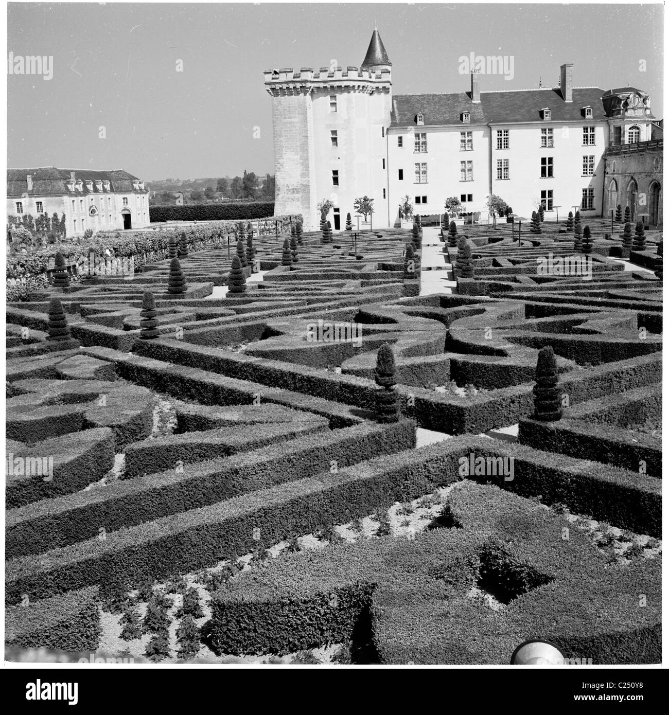 1950s, vue historique des jardins du Château de Villandry, France. Le château a été construit par la Loire pendant la Renaissance pour Jean le Breton. Banque D'Images