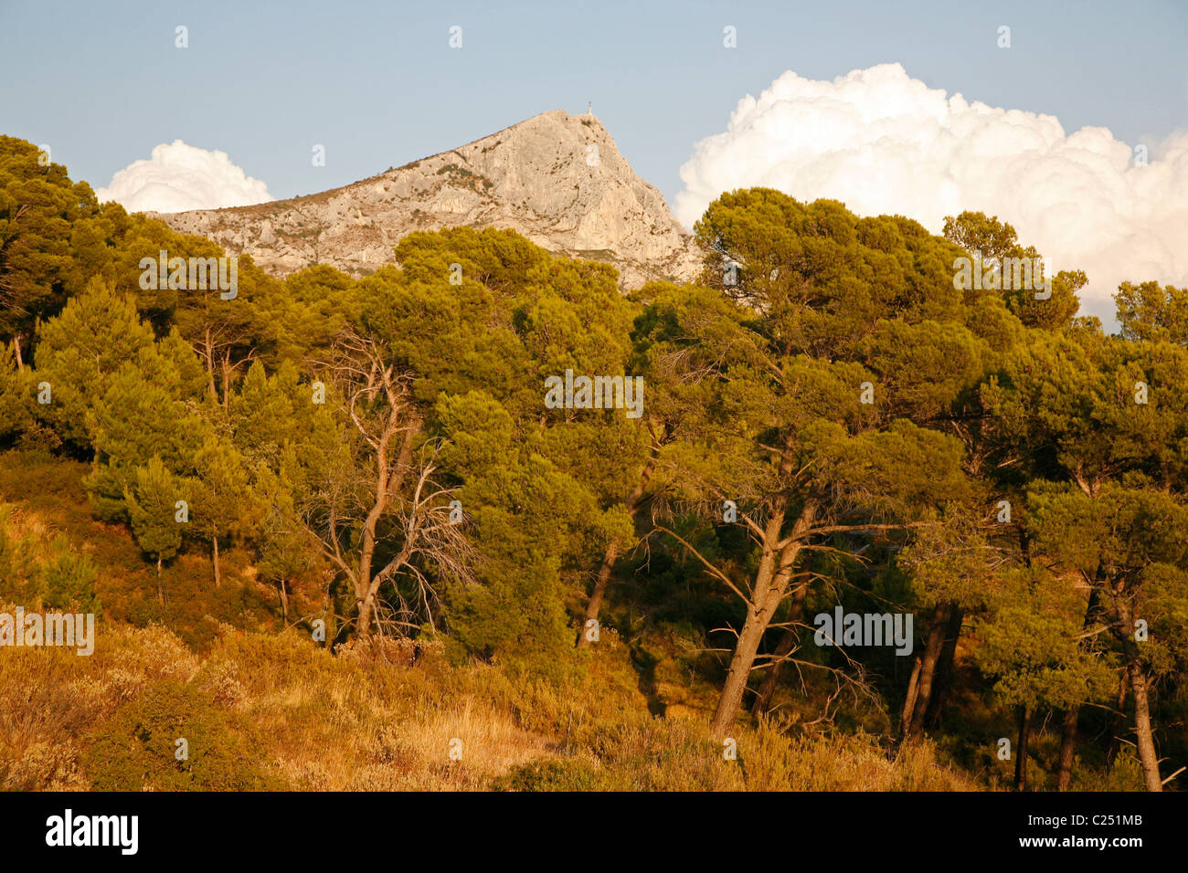 Vue sur la Montagne Sainte Victoire qui permet d'être l'un des sujets favoris de Cézanne. Aix en Provence, Provence, France. Banque D'Images