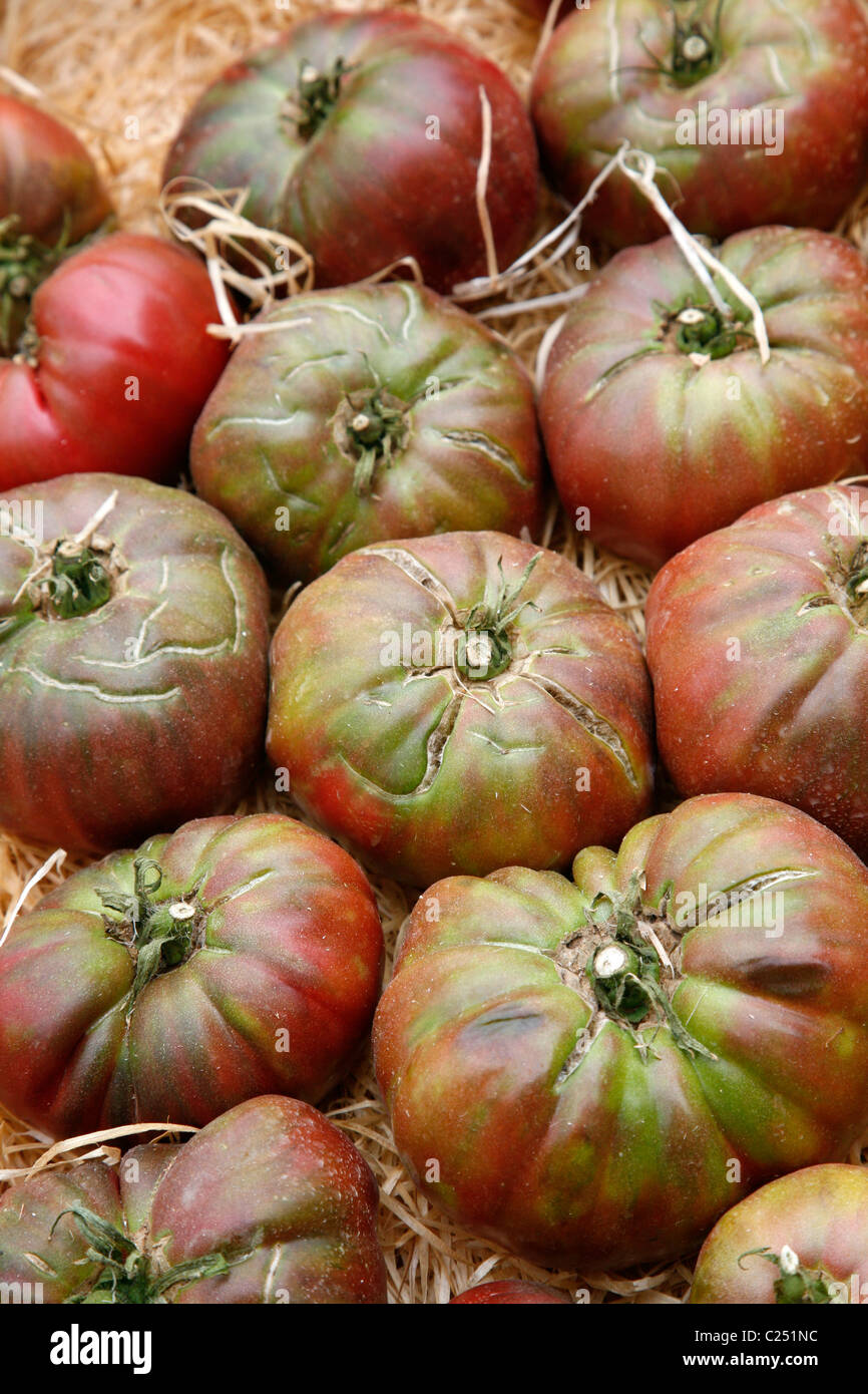 Les tomates vendues au marché de fruits et légumes de Thoulon, Var, Provence, France. Banque D'Images