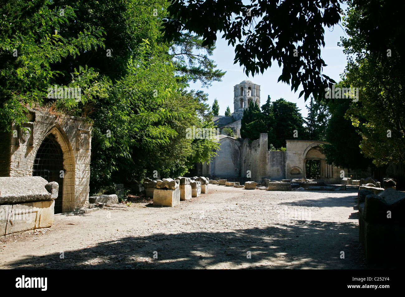 Les Alyscamps, Arles, Provence, France. Banque D'Images