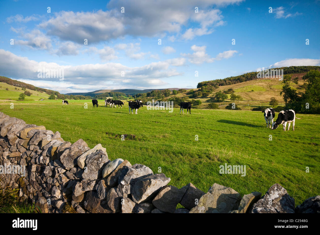 Vue sur l'extérieur des terres agricoles Dunsop Bridge, forêt de Bowland, Lancashire Banque D'Images