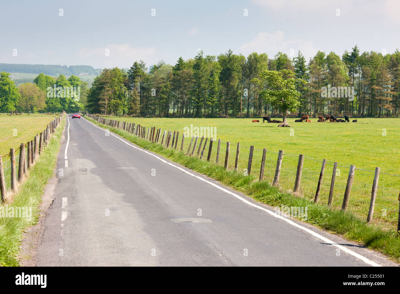 Une route droite dans la forêt de Bowland, Lancashire, England, UK Banque D'Images