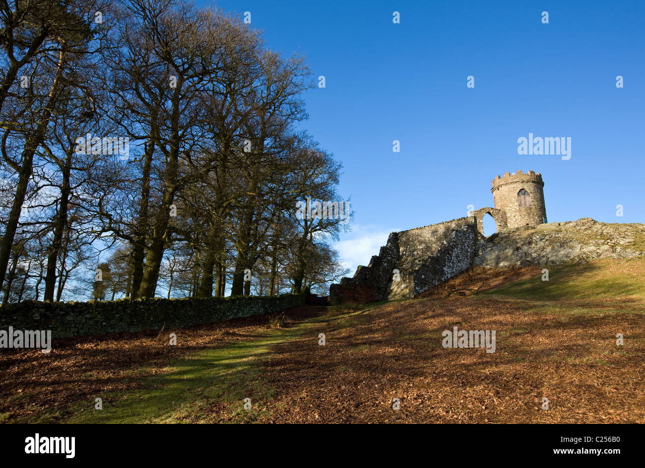 Le vieux John Tower folie à Bradgate Country Park Banque D'Images