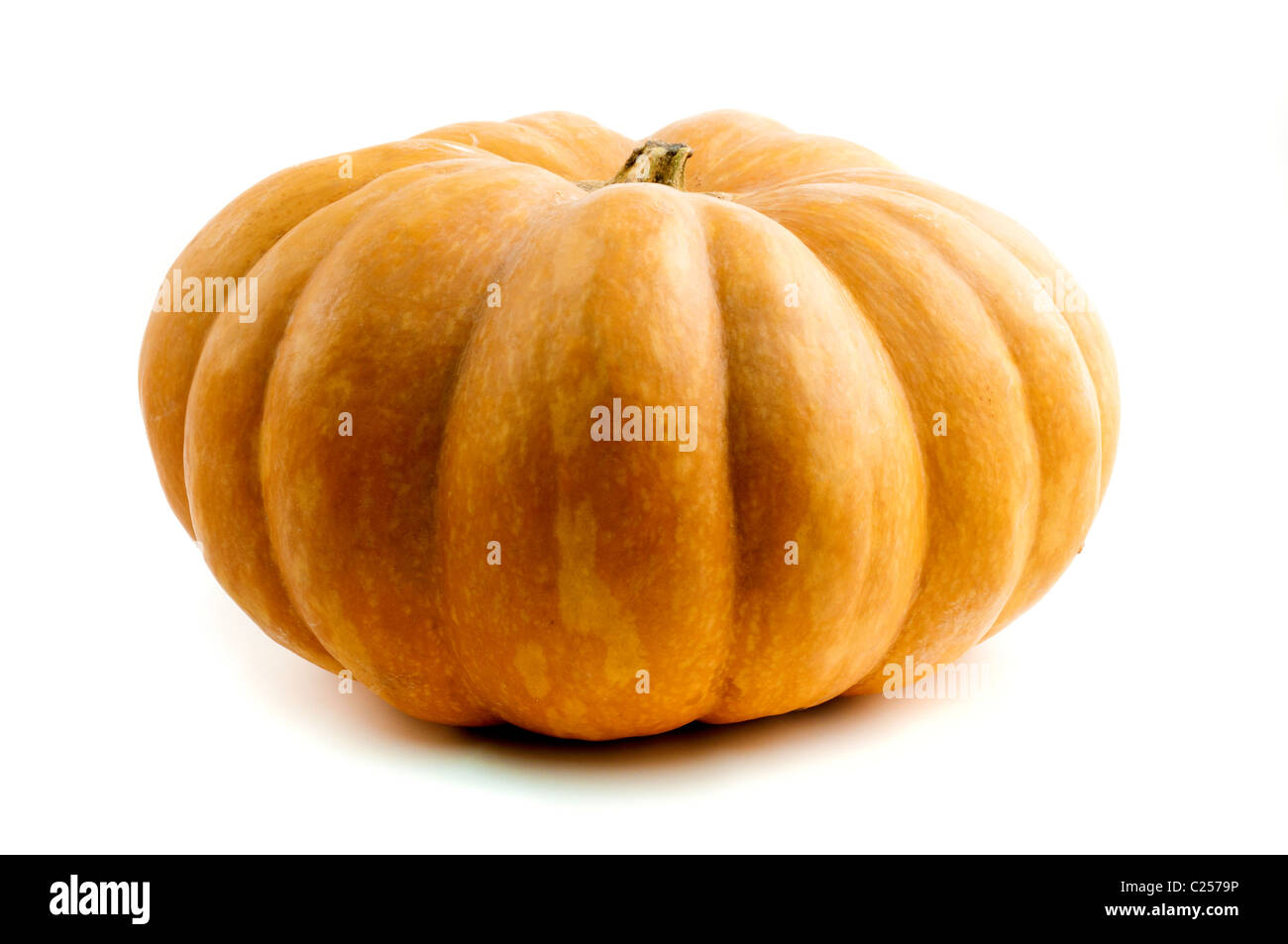 Long Island Cheese Pumpkin sur fond blanc Banque D'Images