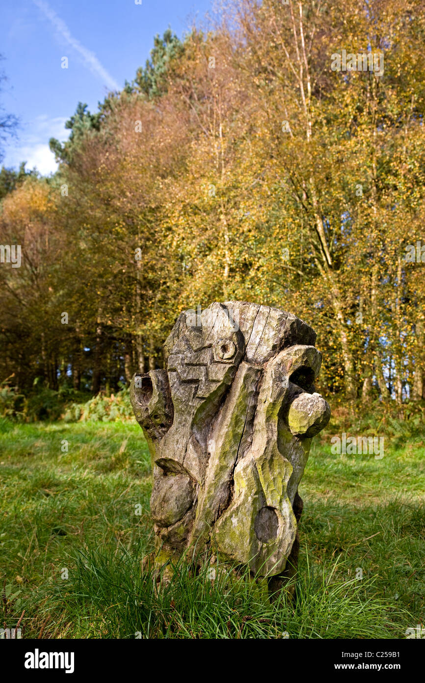La sculpture en bois dans le Parc Forestier de Chevin Banque D'Images