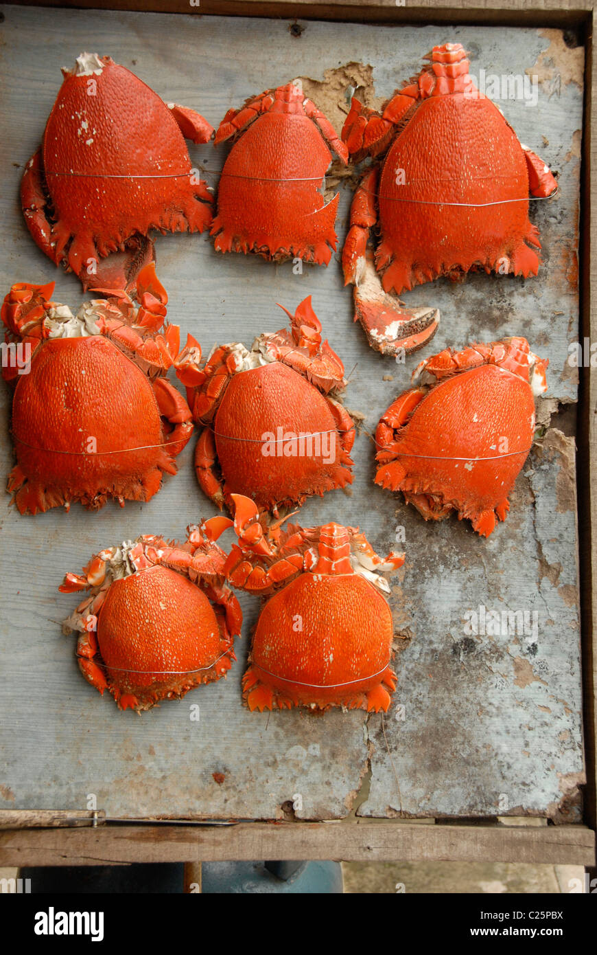 Les crabes, guruda fraîchement cuit à la province de Phang Nga, Thaïlande Banque D'Images