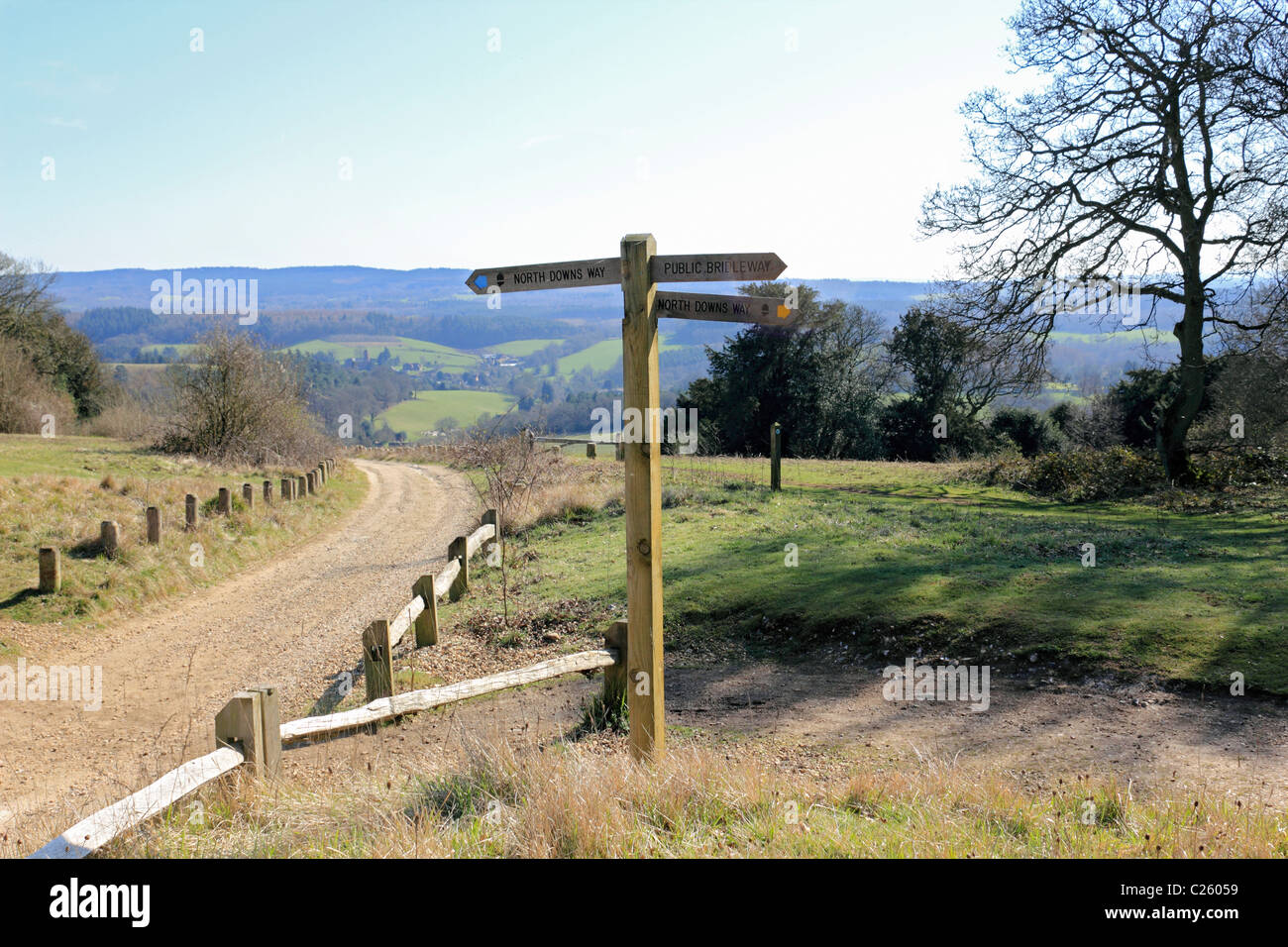 Newlands Corner Albury sur une partie de la North Downs près de Guildford, Surrey, Angleterre, Royaume-Uni Banque D'Images