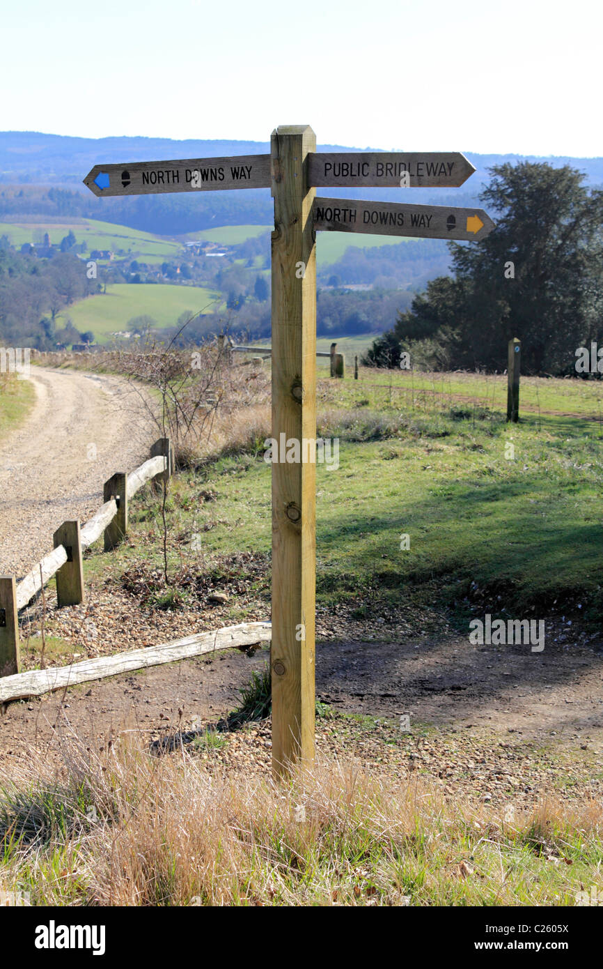 Newlands Corner Albury sur une partie de la North Downs près de Guildford, Surrey, Angleterre, Royaume-Uni Banque D'Images