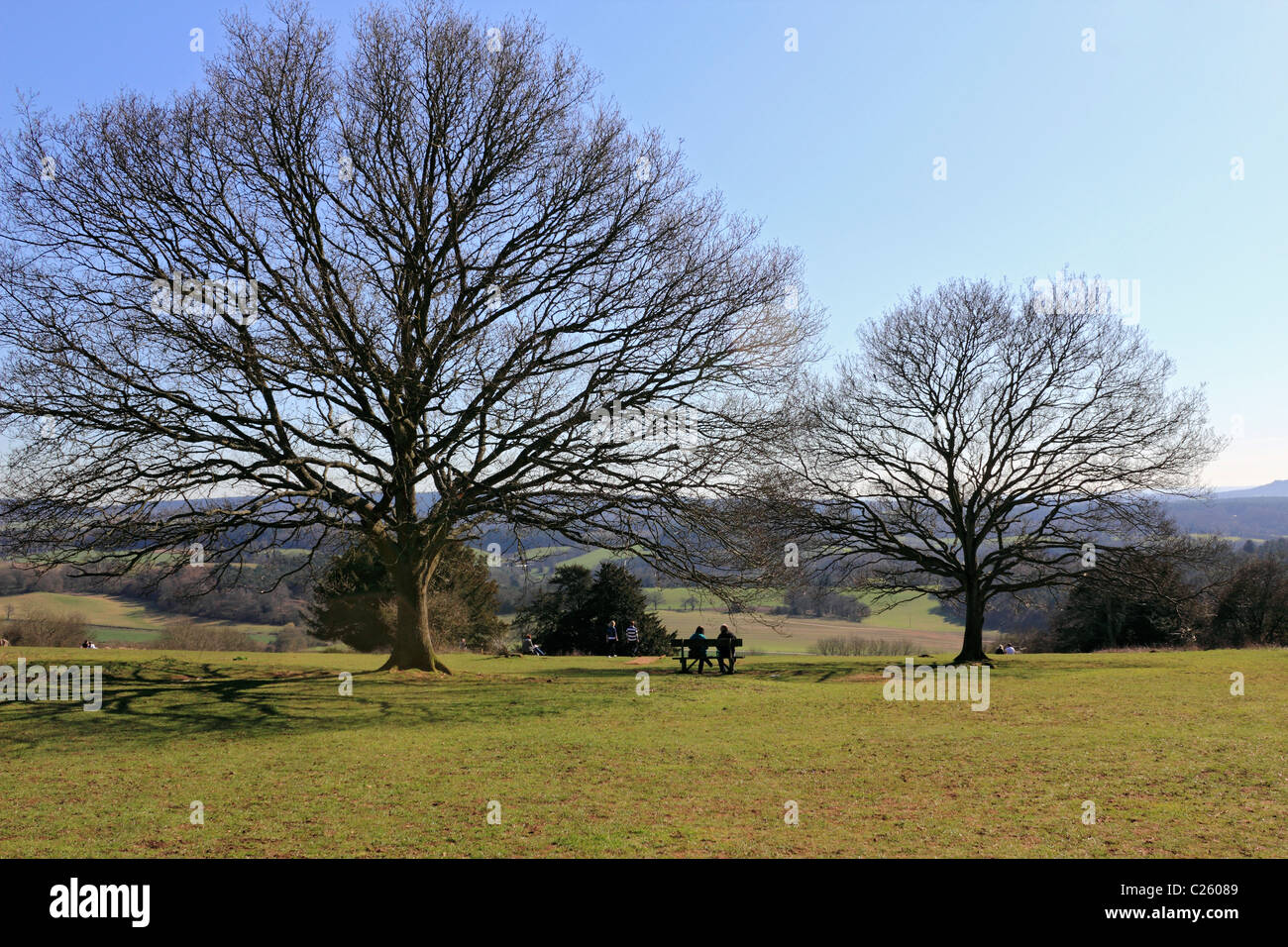 Newlands Corner Albury sur une partie de la North Downs près de Guildford, Surrey, Angleterre, Royaume-Uni Banque D'Images
