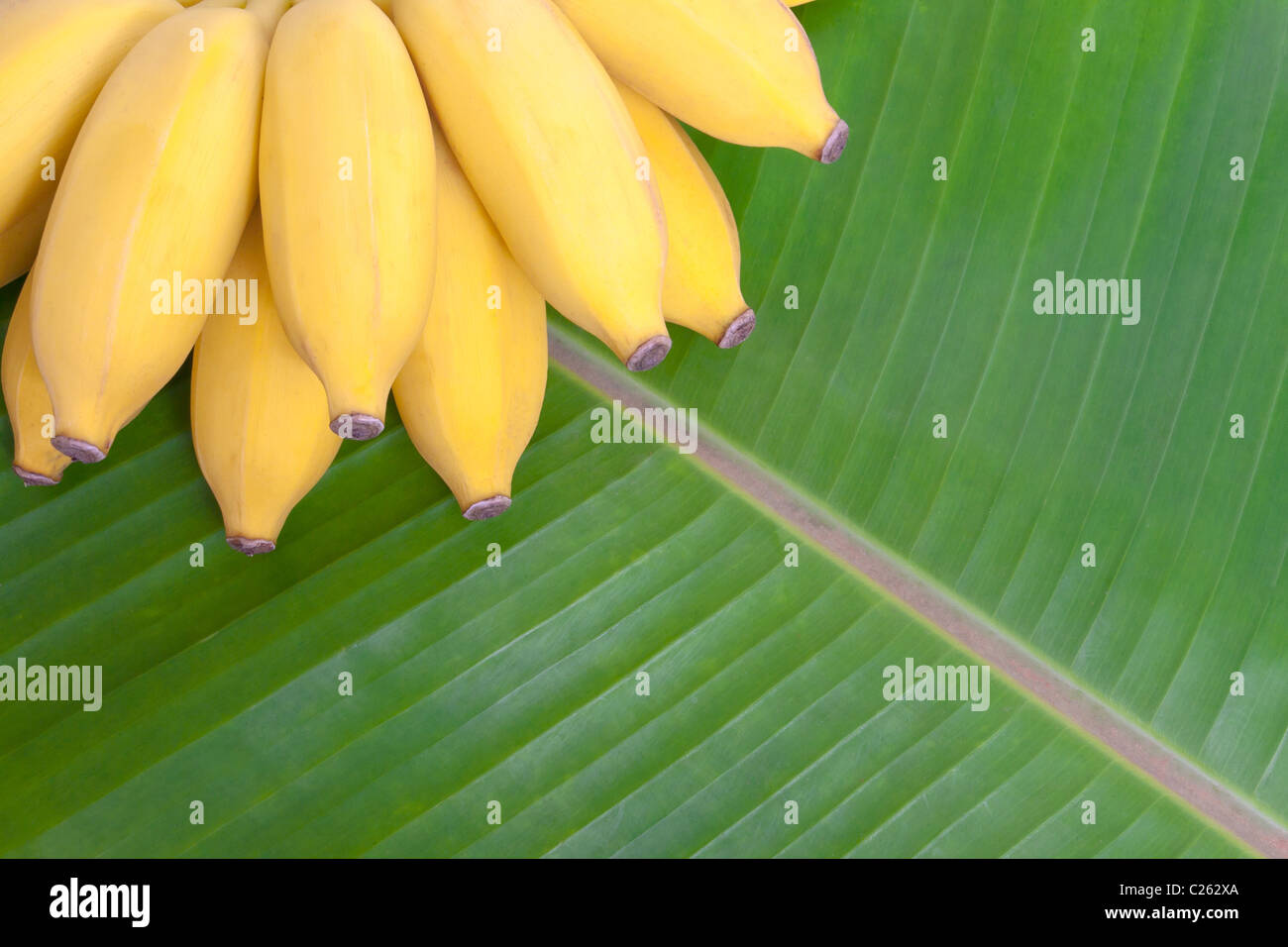 Régime de bananes sur des feuilles de banane background Banque D'Images