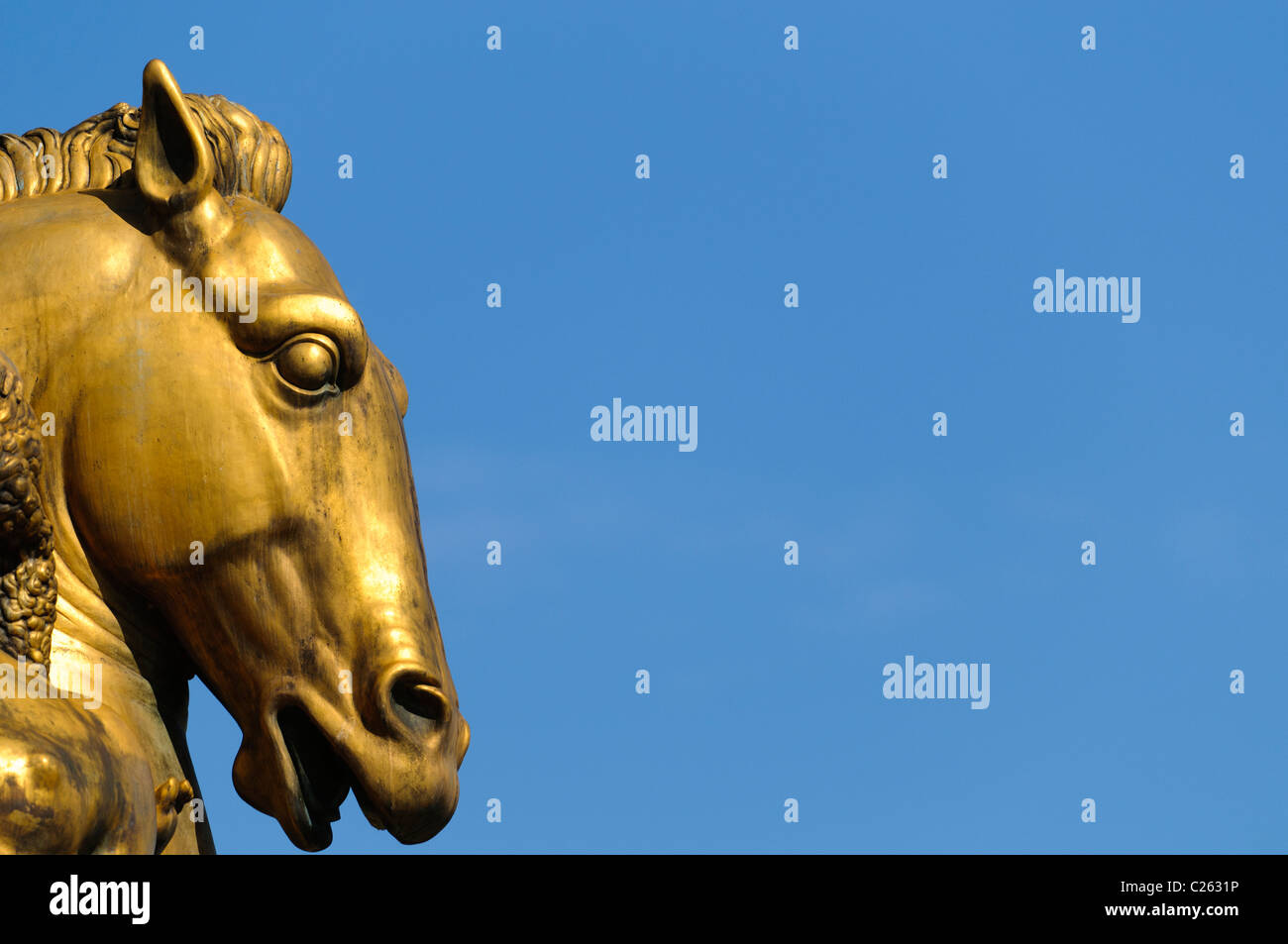 Sacrifice sculpture Horse Head Washington DC // WASHINGTON DC — sculpture sacrifiée de Leo Friedlander, l'une des quatre statues de la série Arts of War, sacrifice et Valor aux coins du pont Memorial et du pont Theodore Roosevelt qui étaient des cadeaux du peuple italien. La sculpture du sacrifice se trouve à l'angle nord-est du pont et est la plus proche des quatre du Lincoln Memorial. Les statues ont été consacrées le 26 septembre 1951. Les autres statues sont nommées aspiration et littérature musique et moisson, et Valor. Banque D'Images