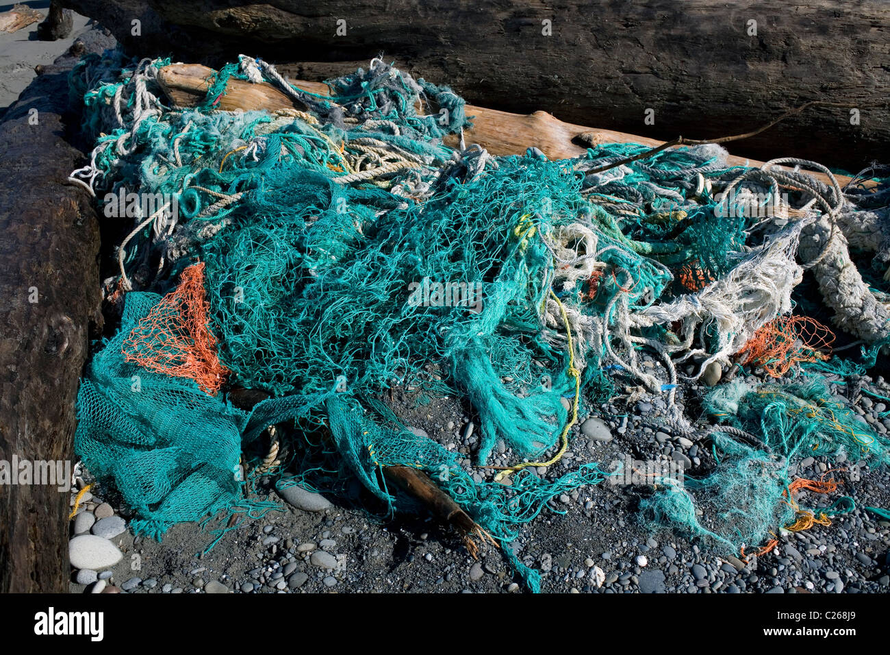 Filets de pêche délavés la plage Kalaloch Océan Pacifique, Washington USA, par Larry Mishkar/Dembinsky photo Assoc Banque D'Images