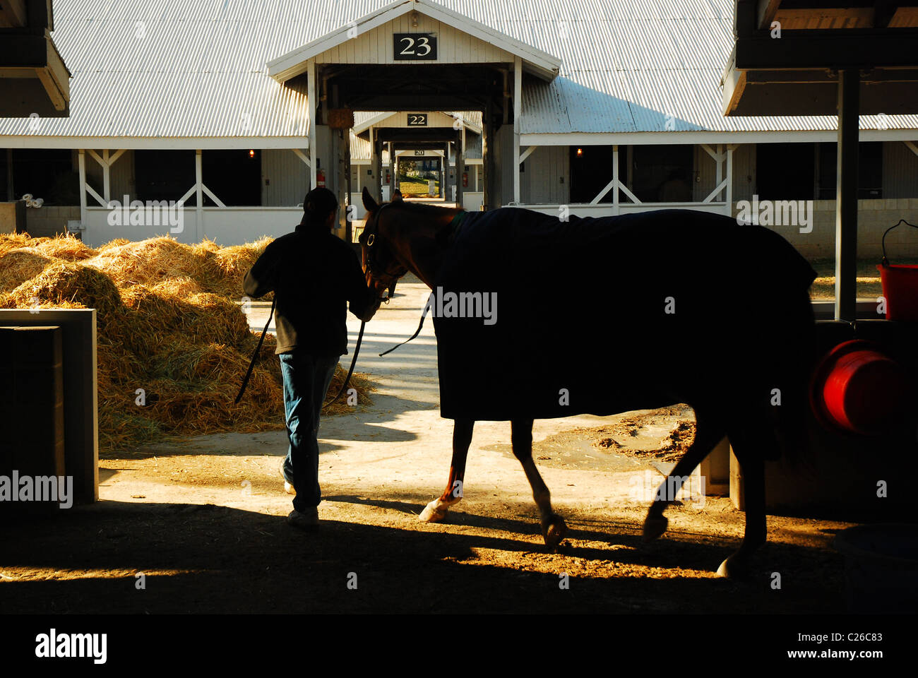 L'être ramené vers ses écuries à la suite de l'entraînement matinal à Keeneland Race Track Banque D'Images