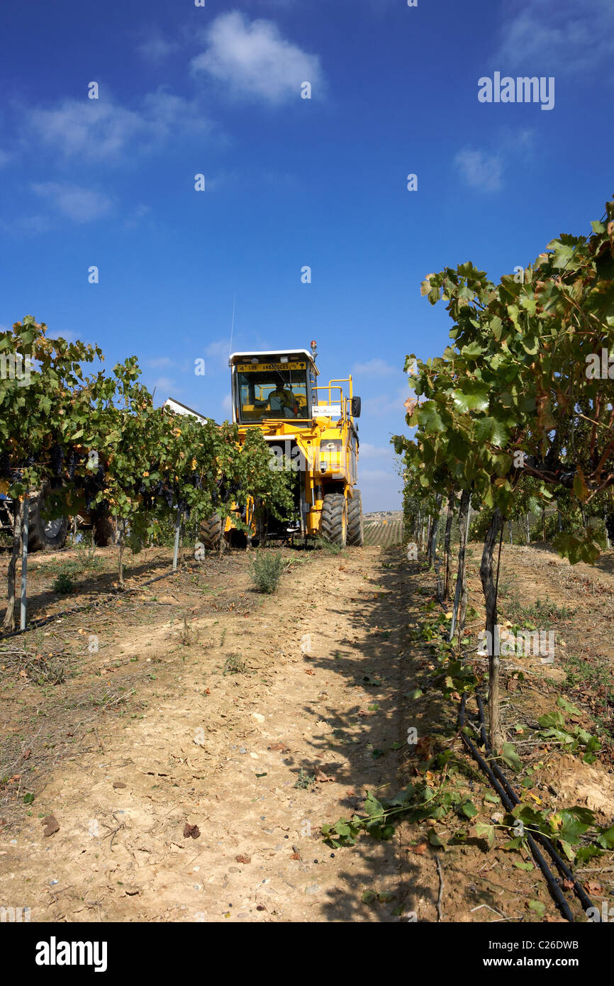 Moissonneuse-batteuse, sur un domaine viticole en Espagne LLeida Raimat Banque D'Images