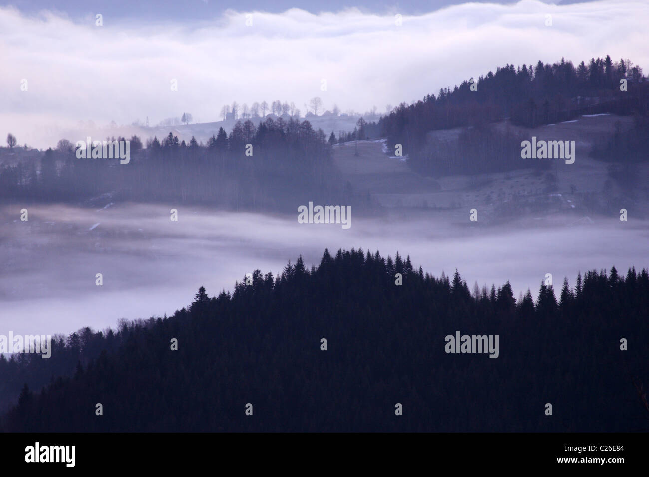 Matin brouillard sur les montagnes des Carpates, Pologne Banque D'Images