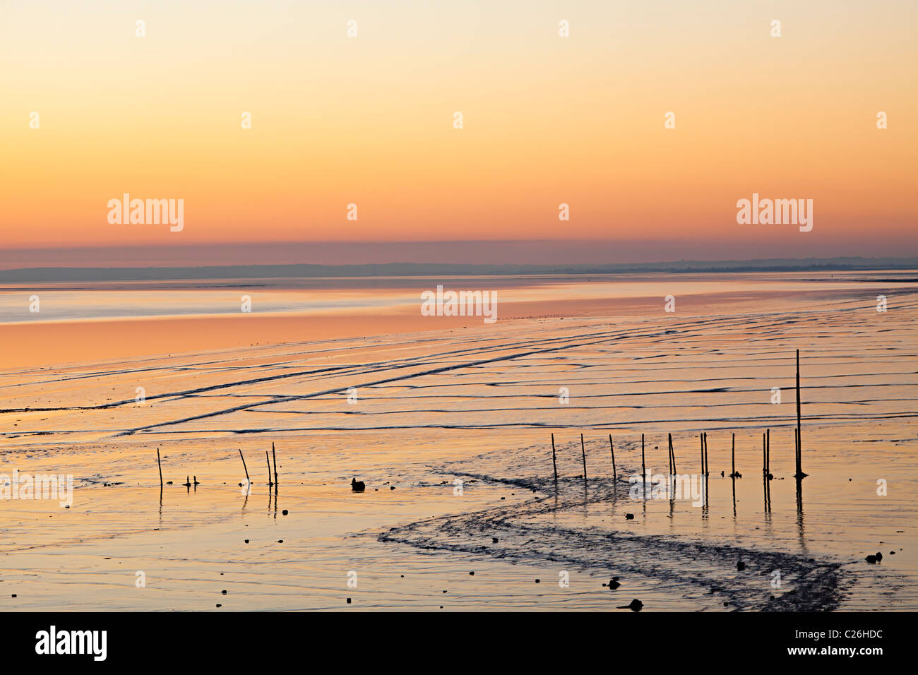 Coucher de soleil sur les vasières et les aires d'alimentation des oiseaux à Goldcliff près de Newport Gwent Wales UK Banque D'Images