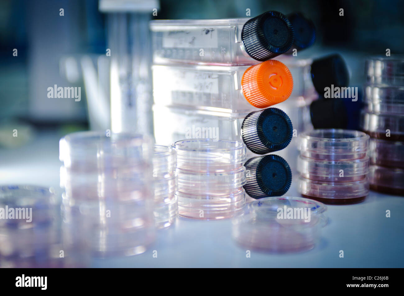 Flacons de culture cellulaire et des boîtes de Pétri en science de laboratoire laboratoire de microbiologie Banque D'Images