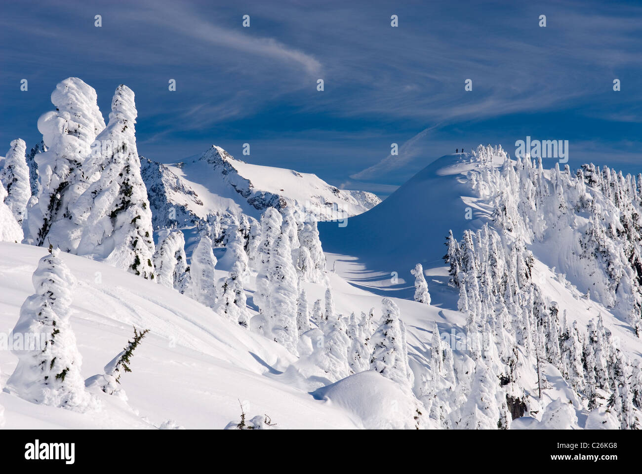 L'hiver à Kulshan Heather Ridge Meadows Recreation Area North Cascades Washington USA Banque D'Images