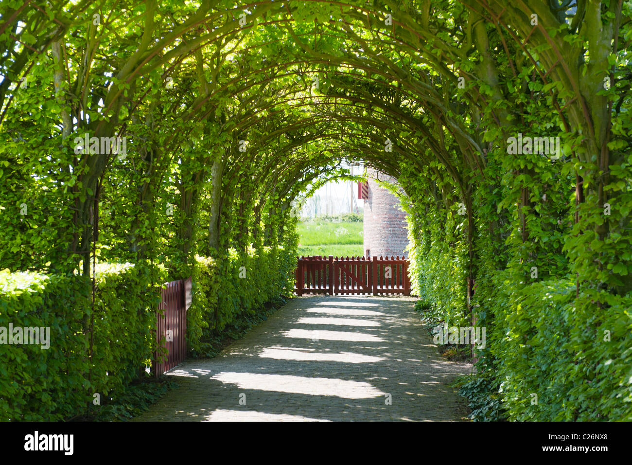 Jardin du château avec un chemin d'arbre et d'Arches Banque D'Images