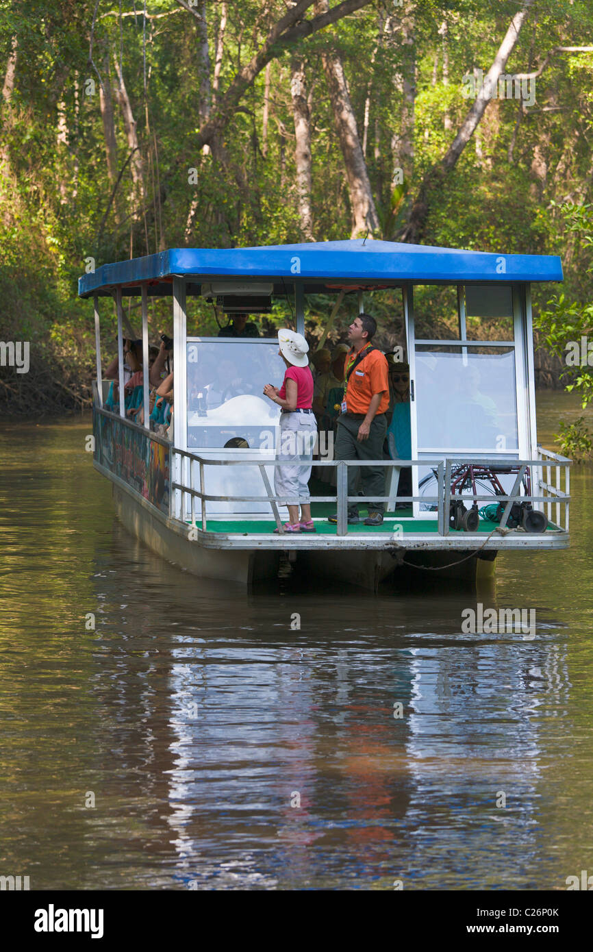 Croisière sur la mangrove, Herradura River, Péninsule de Nicoya, Costa Rica Banque D'Images