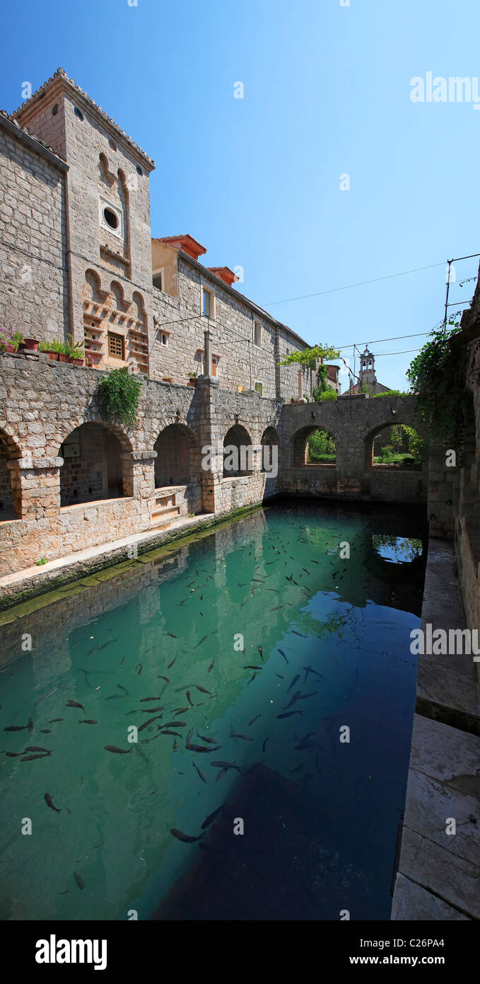 L'enceinte fortifiée, Tvrdalj résidence d'été de Petar Hektorović ville de Stari Grad sur l'île de Hvar. Dans la piscine de poissons. Tvrdalj Banque D'Images