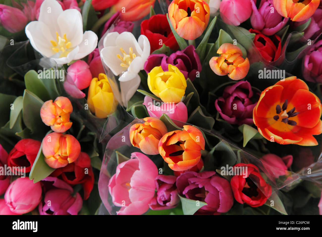 Bouquet de tulipes à vendre Banque D'Images