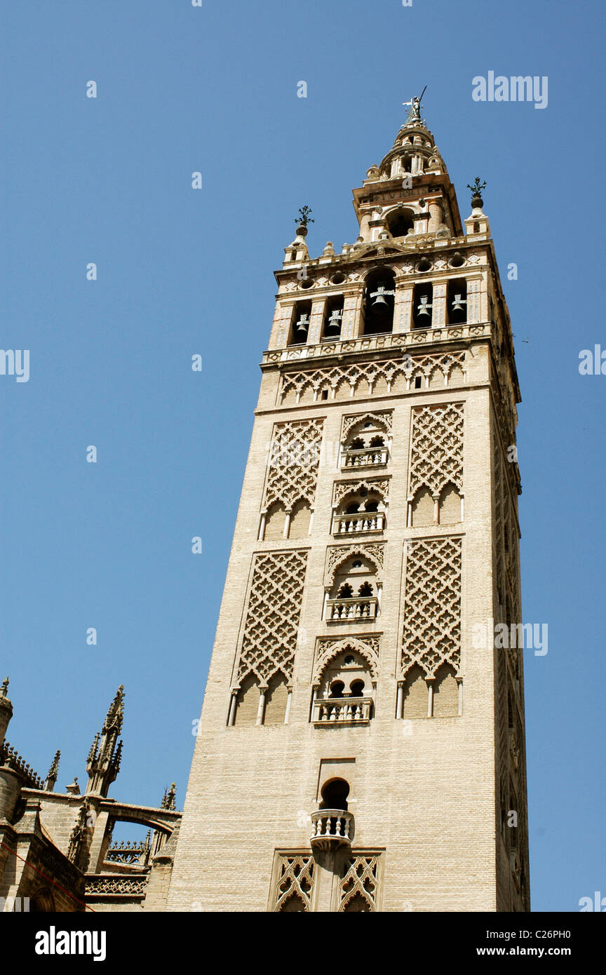 La tour Giralda. .Sevilla Andalousie, Espagne Banque D'Images