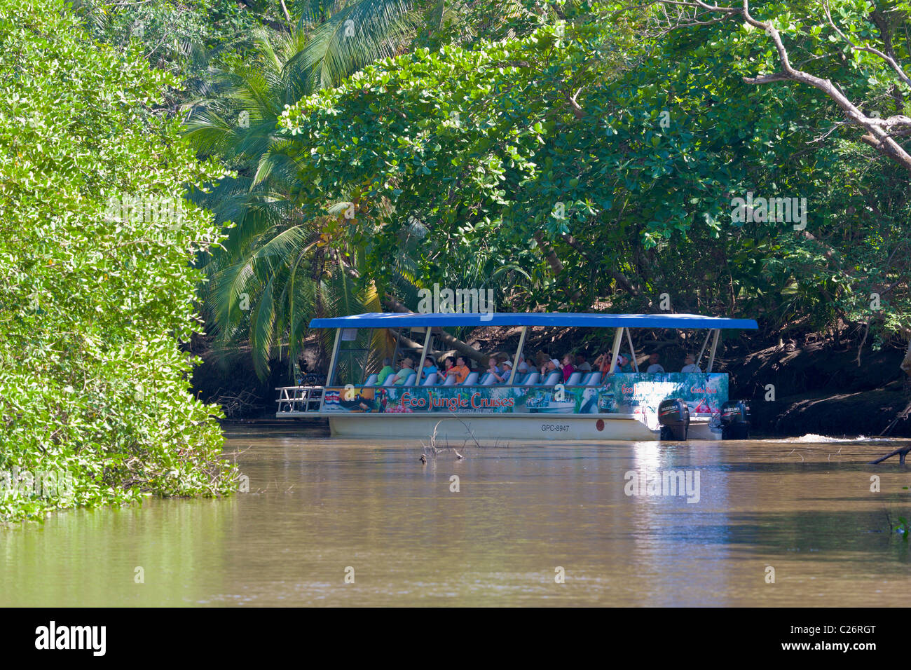 Croisière sur la mangrove, Herradura River, Péninsule de Nicoya, Costa Rica Banque D'Images