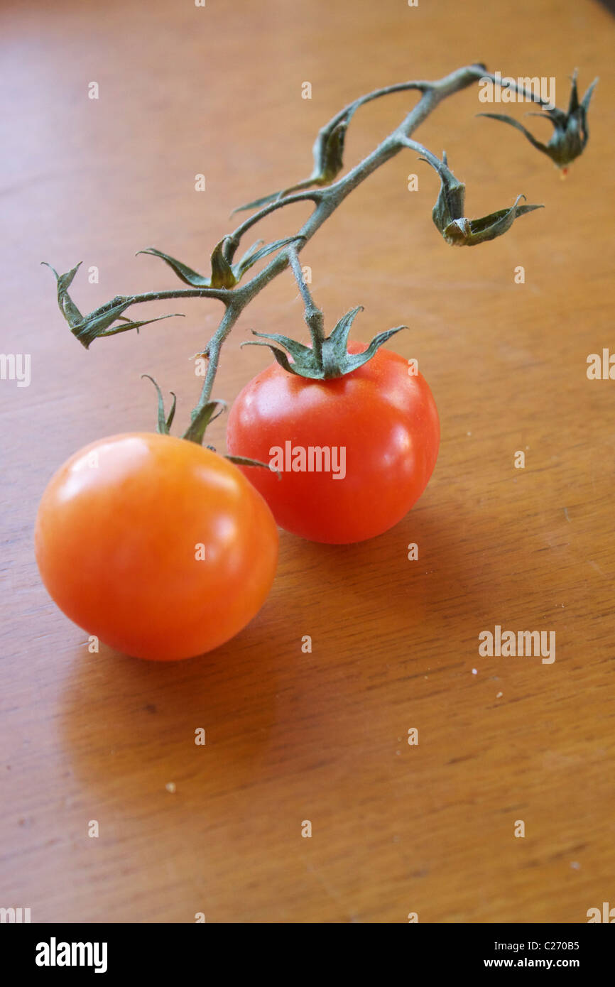 Tomates cerise sur la vigne Banque D'Images