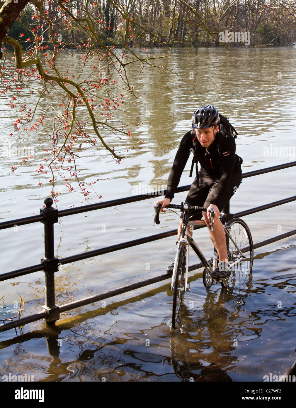 Un cycliste à faire face à la Tamise de halage inondés à marée haute du Strand-sur-le-Vert, Chiswick Banque D'Images