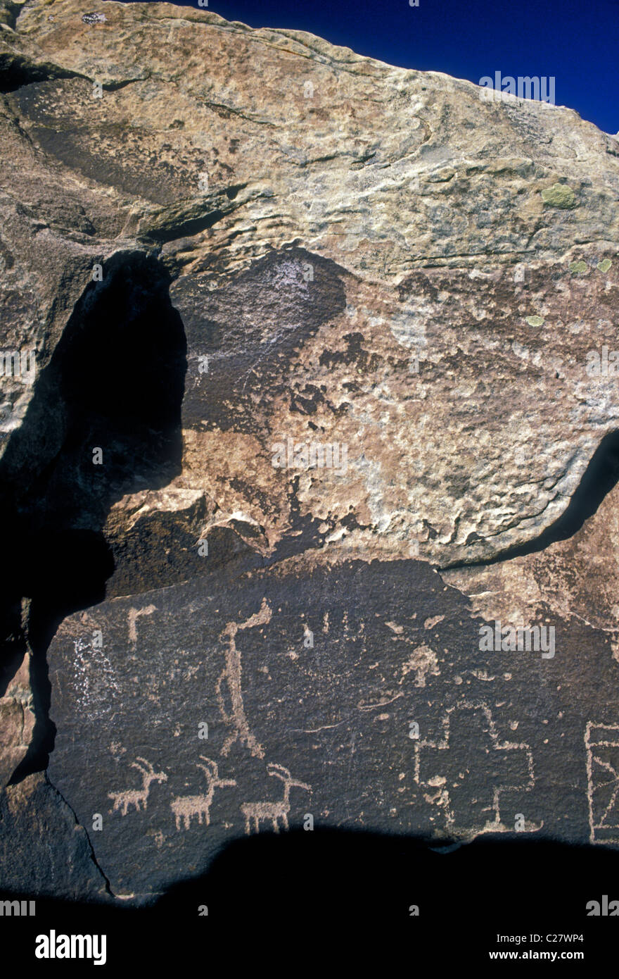 Petroglyph, des pétroglyphes, rock art, l'art préhistorique, la culture Anasazi, Pueblo Puerco Pueblo Puerco, ruines, le Parc National de la Forêt Pétrifiée, Arizona Banque D'Images