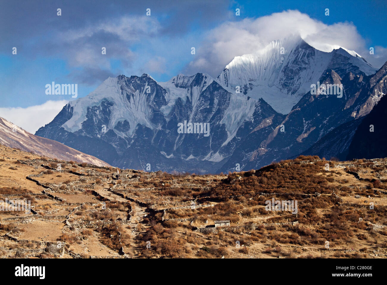 Paysage. Langtang trekking. Himalaya. Le Népal Banque D'Images