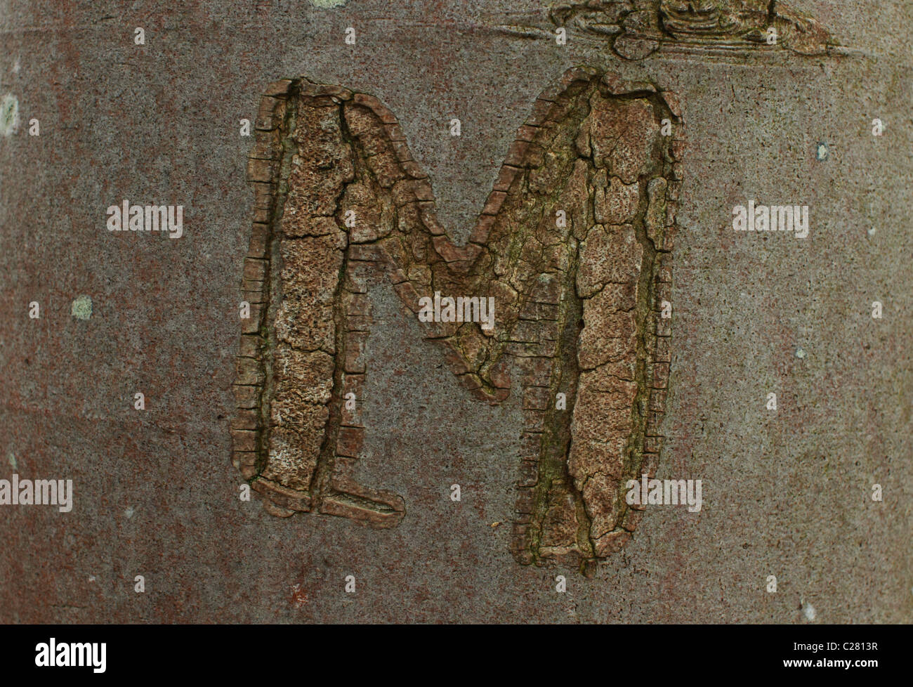 Lettre 'M' cut il y a longtemps sur l'arbre de la vapeur Banque D'Images