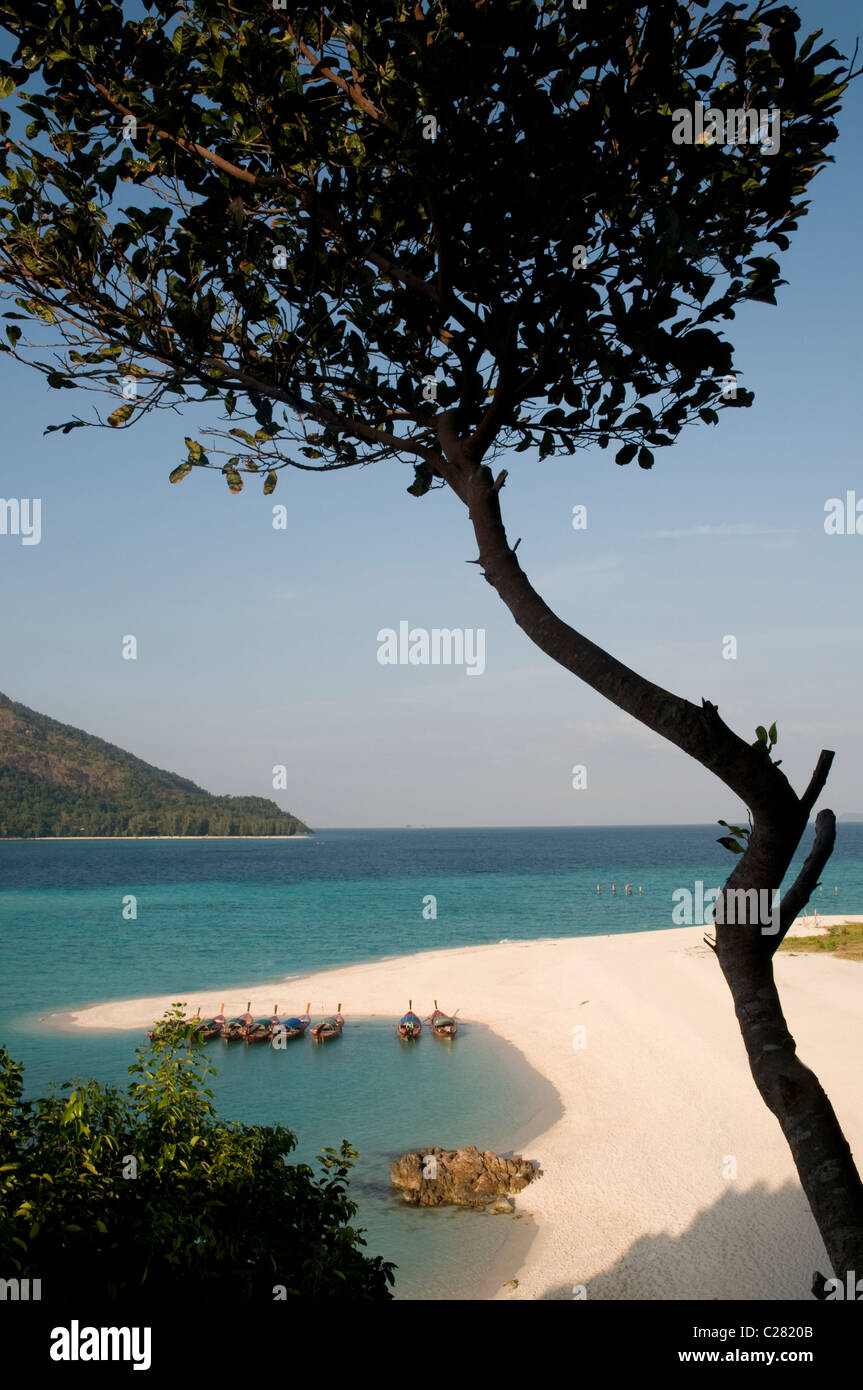 À longue queue thaïlandais traditionnels bateaux amarrés sur la plage, Sunrise Beach, Koh Lipe, Thaïlande Banque D'Images