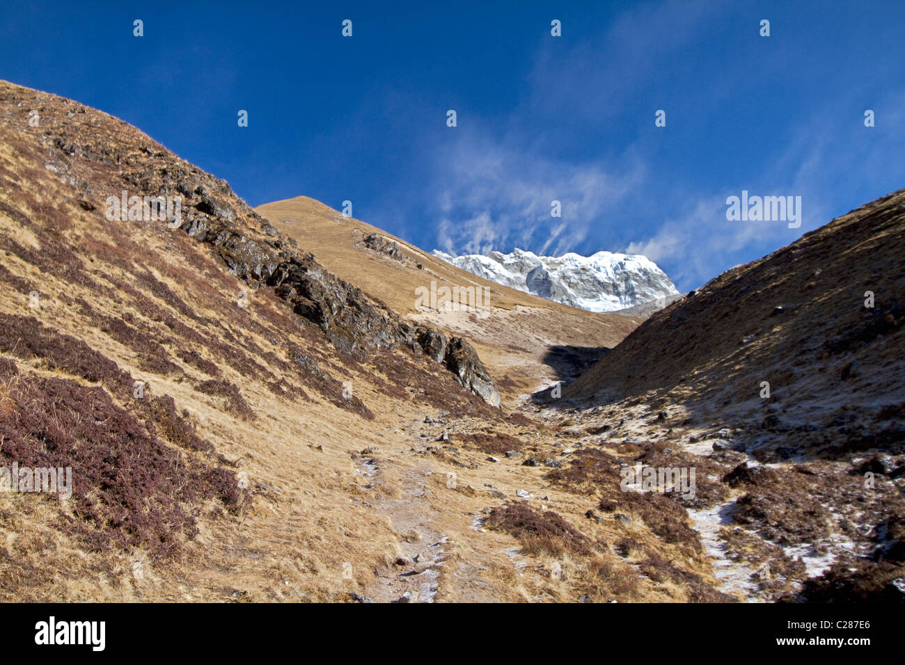 Paysage. Langtang trekking. Himalaya. Le Népal Banque D'Images