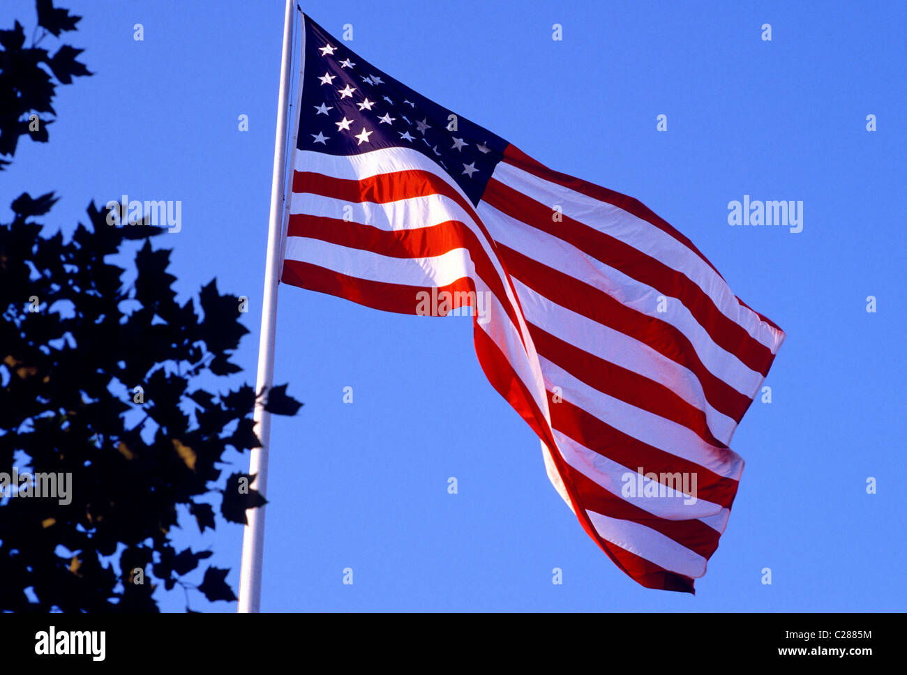 Old Glory, le drapeau des États-Unis d'Amérique Banque D'Images